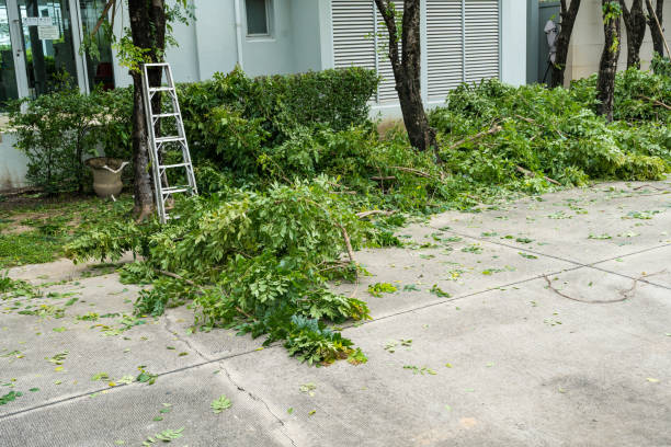 Best Lawn Pest Prevention  in Upper Saddle River, NJ